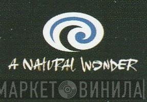 A Natural Wonder - Винил CD и Кассеты лейбла A Natural Wonder на сайте МаркетВинила