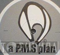 A PMS Plan - Винил CD и Кассеты лейбла A PMS Plan на сайте МаркетВинила