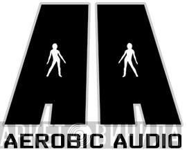 Aerobic Audio - Винил CD и Кассеты лейбла Aerobic Audio на сайте МаркетВинила