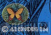 Alcinous Ltd - Винил CD и Кассеты лейбла Alcinous Ltd на сайте МаркетВинила