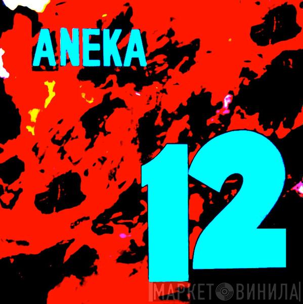 Aneka 12 - Винил CD и Кассеты лейбла Aneka 12 на сайте МаркетВинила
