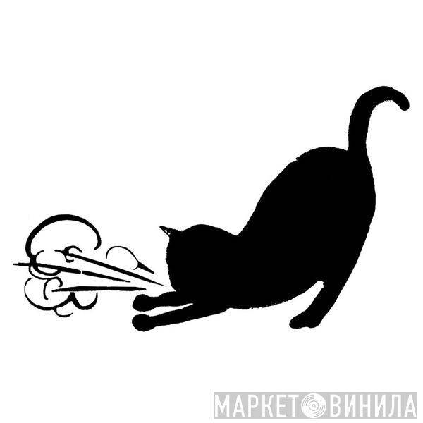 Asthmatic Kitty Records - Винил CD и Кассеты лейбла Asthmatic Kitty Records на сайте МаркетВинила
