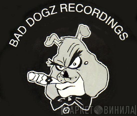 Bad Dogz Recordings - Винил CD и Кассеты лейбла Bad Dogz Recordings на сайте МаркетВинила