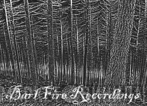 Barl Fire Recordings - Винил CD и Кассеты лейбла Barl Fire Recordings на сайте МаркетВинила