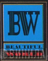 Beautiful World - Винил CD и Кассеты лейбла Beautiful World на сайте МаркетВинила