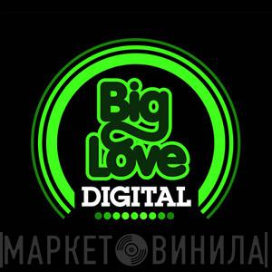Big Love Digital - Винил CD и Кассеты лейбла Big Love Digital на сайте МаркетВинила