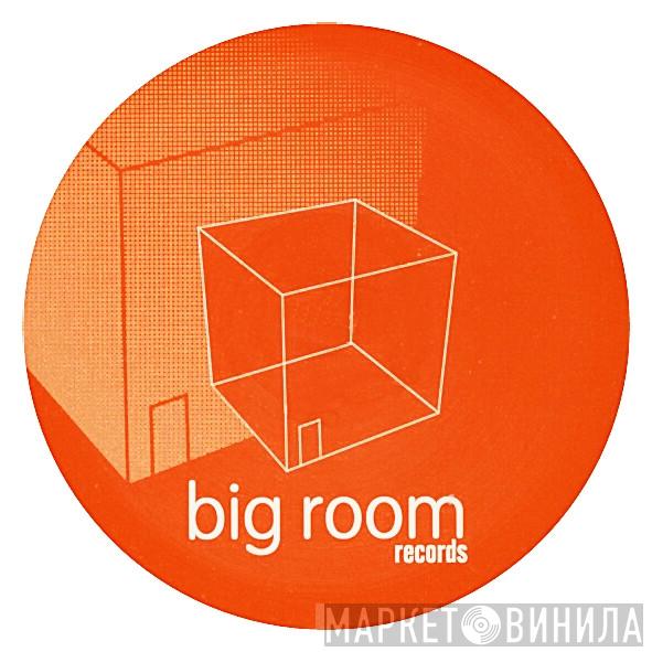 Big Room Records - Винил CD и Кассеты лейбла Big Room Records на сайте МаркетВинила