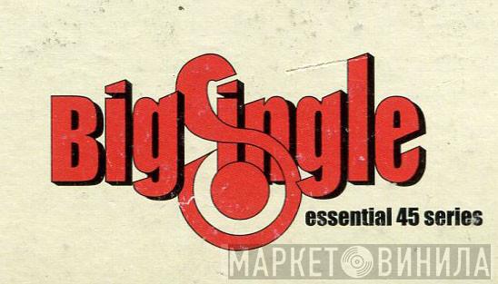 Big Single - Винил CD и Кассеты лейбла Big Single на сайте МаркетВинила