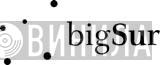 Big Sur Records - Винил CD и Кассеты лейбла Big Sur Records на сайте МаркетВинила