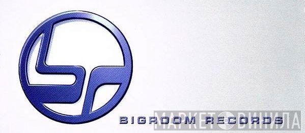 Bigroom Records - Винил CD и Кассеты лейбла Bigroom Records на сайте МаркетВинила