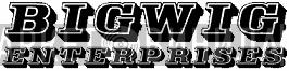 Bigwig Enterprises - Винил CD и Кассеты лейбла Bigwig Enterprises на сайте МаркетВинила