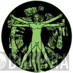 Biology Productions - Винил CD и Кассеты лейбла Biology Productions на сайте МаркетВинила