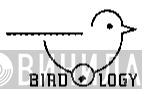 Birdology - Винил CD и Кассеты лейбла Birdology на сайте МаркетВинила