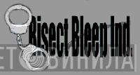 Bisect Bleep Industries - Винил CD и Кассеты лейбла Bisect Bleep Industries на сайте МаркетВинила