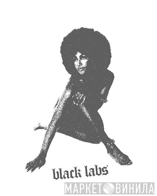 Black Labs - Винил CD и Кассеты лейбла Black Labs на сайте МаркетВинила