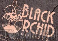 Black Orchid Records - Винил CD и Кассеты лейбла Black Orchid Records на сайте МаркетВинила