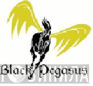 Black Pegasus - Винил CD и Кассеты лейбла Black Pegasus на сайте МаркетВинила