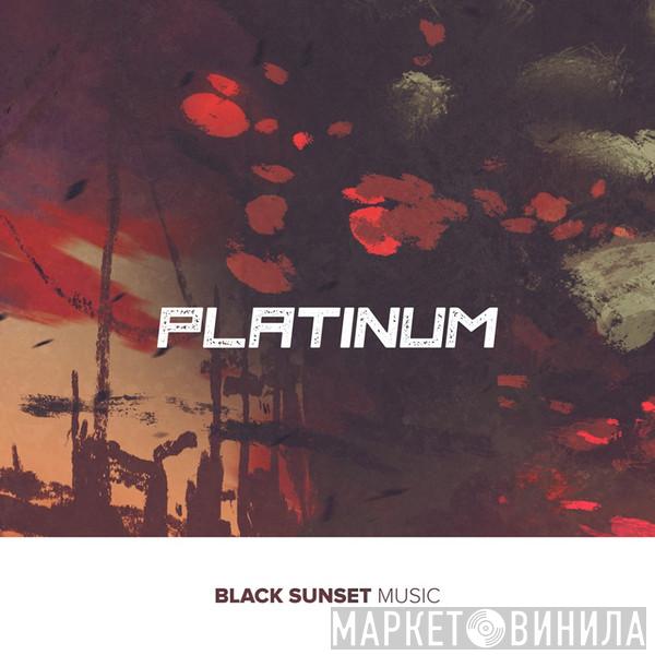 Black Sunset Platinum - Винил CD и Кассеты лейбла Black Sunset Platinum на сайте МаркетВинила