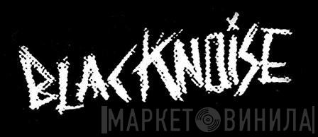 Blacknoise Recordings - Винил CD и Кассеты лейбла Blacknoise Recordings на сайте МаркетВинила