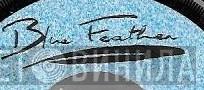 Blue Feather - Винил CD и Кассеты лейбла Blue Feather на сайте МаркетВинила
