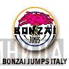 Bonzai Jumps Italy - Винил CD и Кассеты лейбла Bonzai Jumps Italy на сайте МаркетВинила