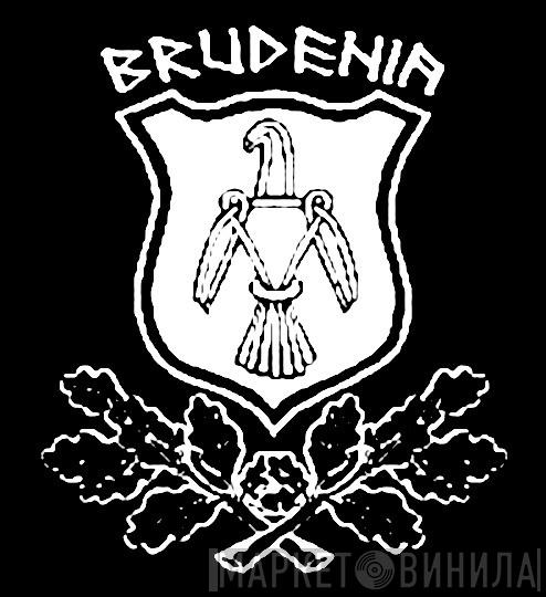 Brudenia - Винил CD и Кассеты лейбла Brudenia на сайте МаркетВинила