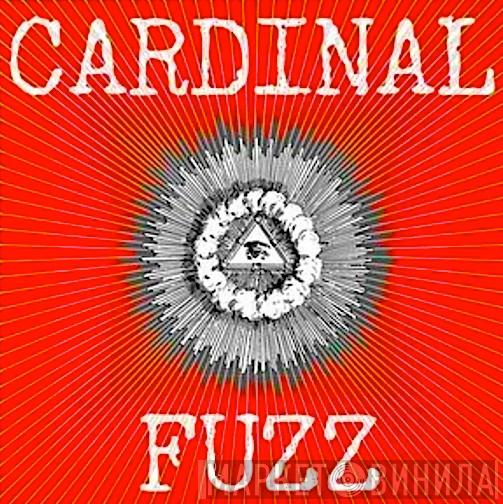 Cardinal Fuzz - Винил CD и Кассеты лейбла Cardinal Fuzz на сайте МаркетВинила