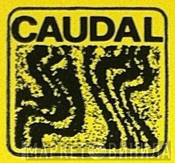 Caudal - Винил CD и Кассеты лейбла Caudal на сайте МаркетВинила