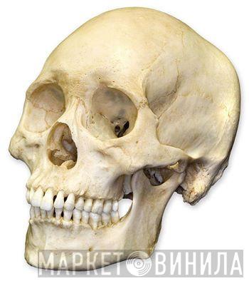 Colored Skulls - Винил CD и Кассеты лейбла Colored Skulls на сайте МаркетВинила
