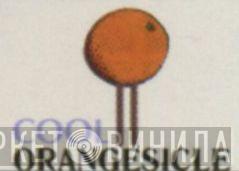 Cool Orangesicle - Винил CD и Кассеты лейбла Cool Orangesicle на сайте МаркетВинила