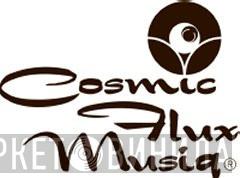 Cosmic Flux Musiq - Винил CD и Кассеты лейбла Cosmic Flux Musiq на сайте МаркетВинила