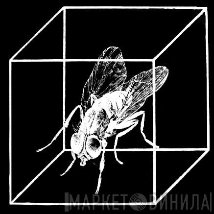 Cube Records  - Винил CD и Кассеты лейбла Cube Records (6) на сайте МаркетВинила