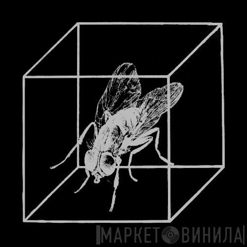 Cube  - Винил CD и Кассеты лейбла Cube (6) на сайте МаркетВинила
