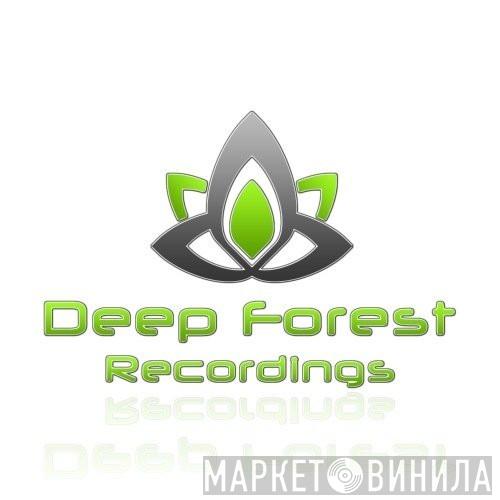 Deep Forest Recordings - Винил CD и Кассеты лейбла Deep Forest Recordings на сайте МаркетВинила