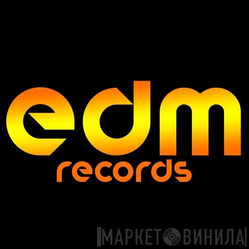 EDM Records  - Винил CD и Кассеты лейбла EDM Records (4) на сайте МаркетВинила