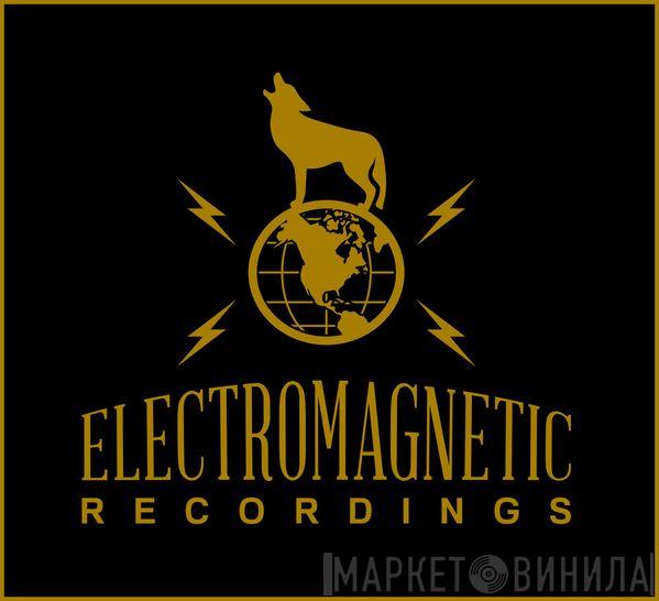 Electromagnetic Recordings  - Винил CD и Кассеты лейбла Electromagnetic Recordings (2) на сайте МаркетВинила