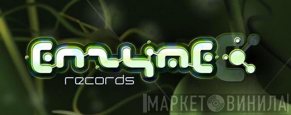 Enzyme Records  - Винил CD и Кассеты лейбла Enzyme Records (2) на сайте МаркетВинила
