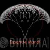 Essentia Mundi - Винил CD и Кассеты лейбла Essentia Mundi на сайте МаркетВинила