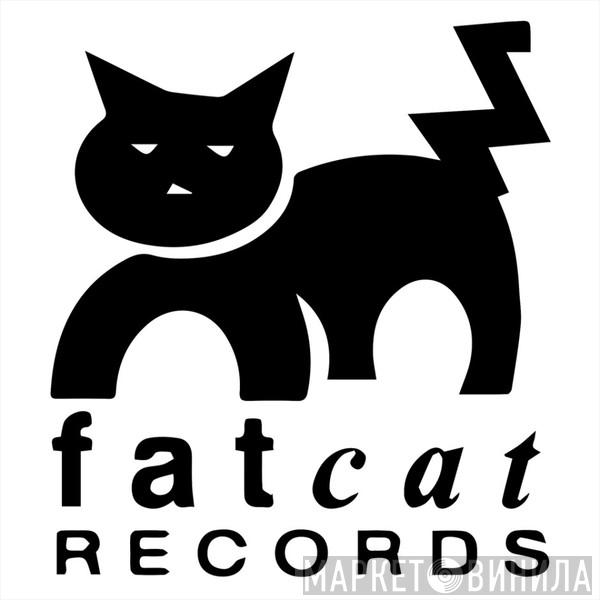 FatCat Records - Винил CD и Кассеты лейбла FatCat Records на сайте МаркетВинила