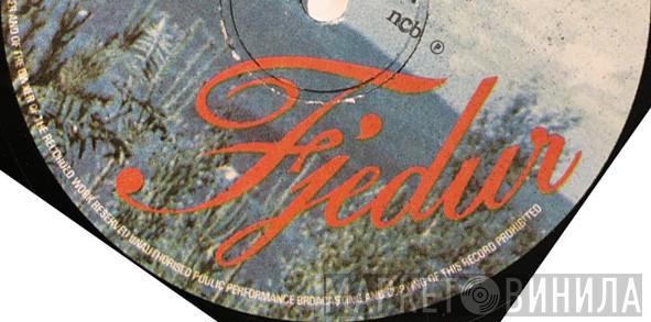 Fjedur  - Винил CD и Кассеты лейбла Fjedur (2) на сайте МаркетВинила