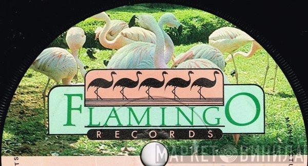 Flamingo Records  - Винил CD и Кассеты лейбла Flamingo Records (2) на сайте МаркетВинила