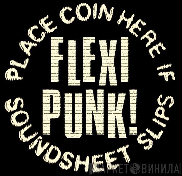 Flexipunk - Винил CD и Кассеты лейбла Flexipunk на сайте МаркетВинила