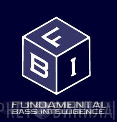 Fundamental Bass Intelligence - Винил CD и Кассеты лейбла Fundamental Bass Intelligence на сайте МаркетВинила