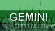 Gemini  - Винил CD и Кассеты лейбла Gemini (9) на сайте МаркетВинила