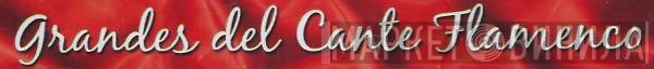 Grandes Del Cante Flamenco - Винил CD и Кассеты лейбла Grandes Del Cante Flamenco на сайте МаркетВинила
