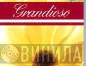 Grandioso  - Винил CD и Кассеты лейбла Grandioso (3) на сайте МаркетВинила