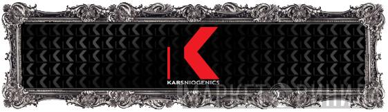 Karsniogenics - Винил CD и Кассеты лейбла Karsniogenics на сайте МаркетВинила