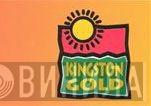 Kingston Gold - Винил CD и Кассеты лейбла Kingston Gold на сайте МаркетВинила