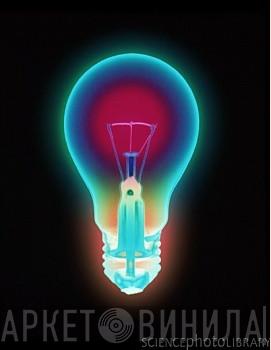 Lantern Media - Винил CD и Кассеты лейбла Lantern Media на сайте МаркетВинила