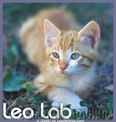Leo Lab - Винил CD и Кассеты лейбла Leo Lab на сайте МаркетВинила